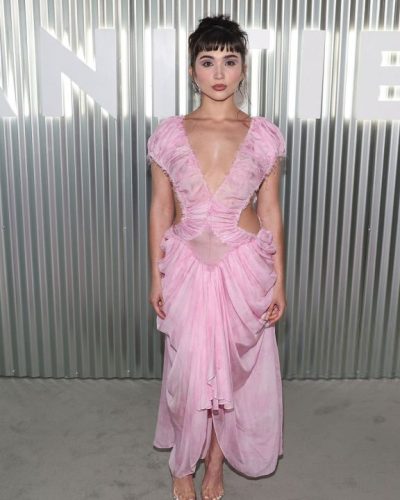 Rowan Blanchard in allowing the dress at appearance 2026