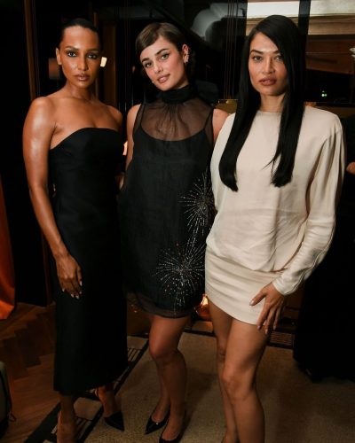 Taylor Hill black dress featuring a sheer overlay and sparkle