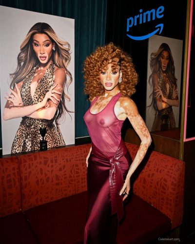 Winnie Harlow sporting a burgundy dress featuring a sheer overlay.