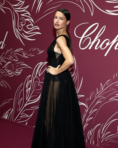 Adriana Lima photo image 4