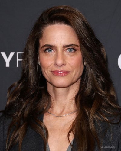 Amanda Peet photo image 2