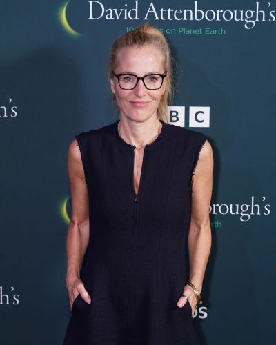 Gillian Anderson Stuns In Elegant Black Dress At Attenborough Event 2026
