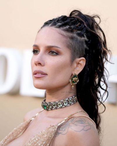 Halsey photo image 3