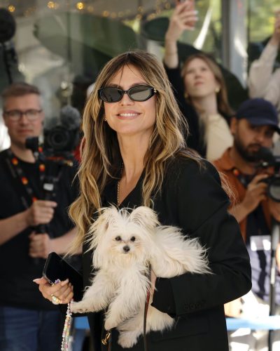 Heidi Klum Dazzles At Cannes Jury Dinner With Adorable Pup 2026