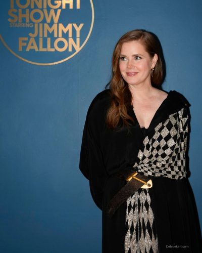 Amy Adams photo