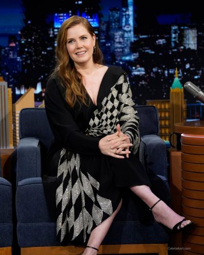 Amy Adams photo image 2