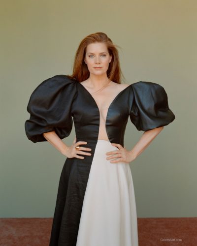 Amy Adams photo image 5