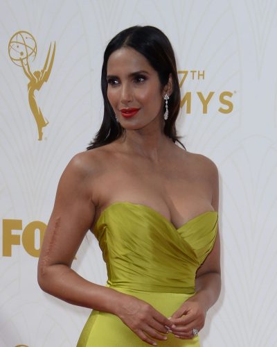 Padma Lakshmi photo image 3