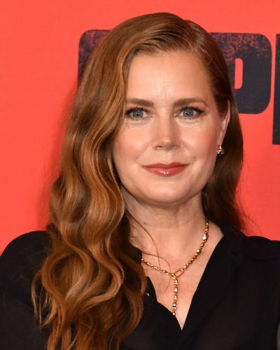 Amy Adams at Cape Fear New York Screening at Dga Theater 2026 - Photo 4