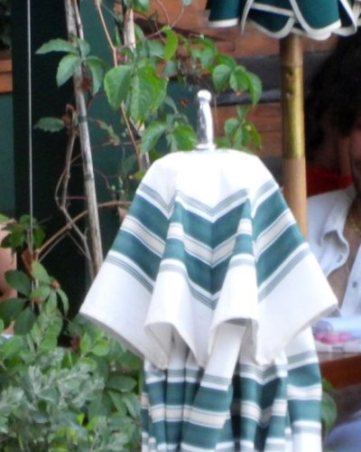 Selena Gomez and Benny Blanco Spend Time Together in Paraggi July 2026 - Photo 5